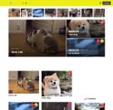 androidgif.com - SiteWarz.com