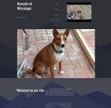 basenjismississippi-tippy.com - SiteWarz.com