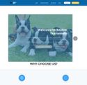 bostonhomemate.com - SiteWarz.com