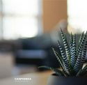 canphimza.com - SiteWarz.com