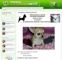 chihuahuasdorados.com - SiteWarz.com