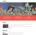 enzman.com - SiteWarz.com