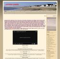 jaywick.net - SiteWarz.com
