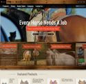 jbnsaddles.com - SiteWarz.com