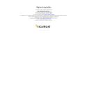 perfilescampeche.com - SiteWarz.com