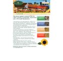 rusprov.ru - SiteWarz.com