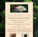 standardpoodlescolorado.com - SiteWarz.com