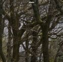 strava.com - SiteWarz.com