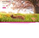 vente-privee.com - SiteWarz.com